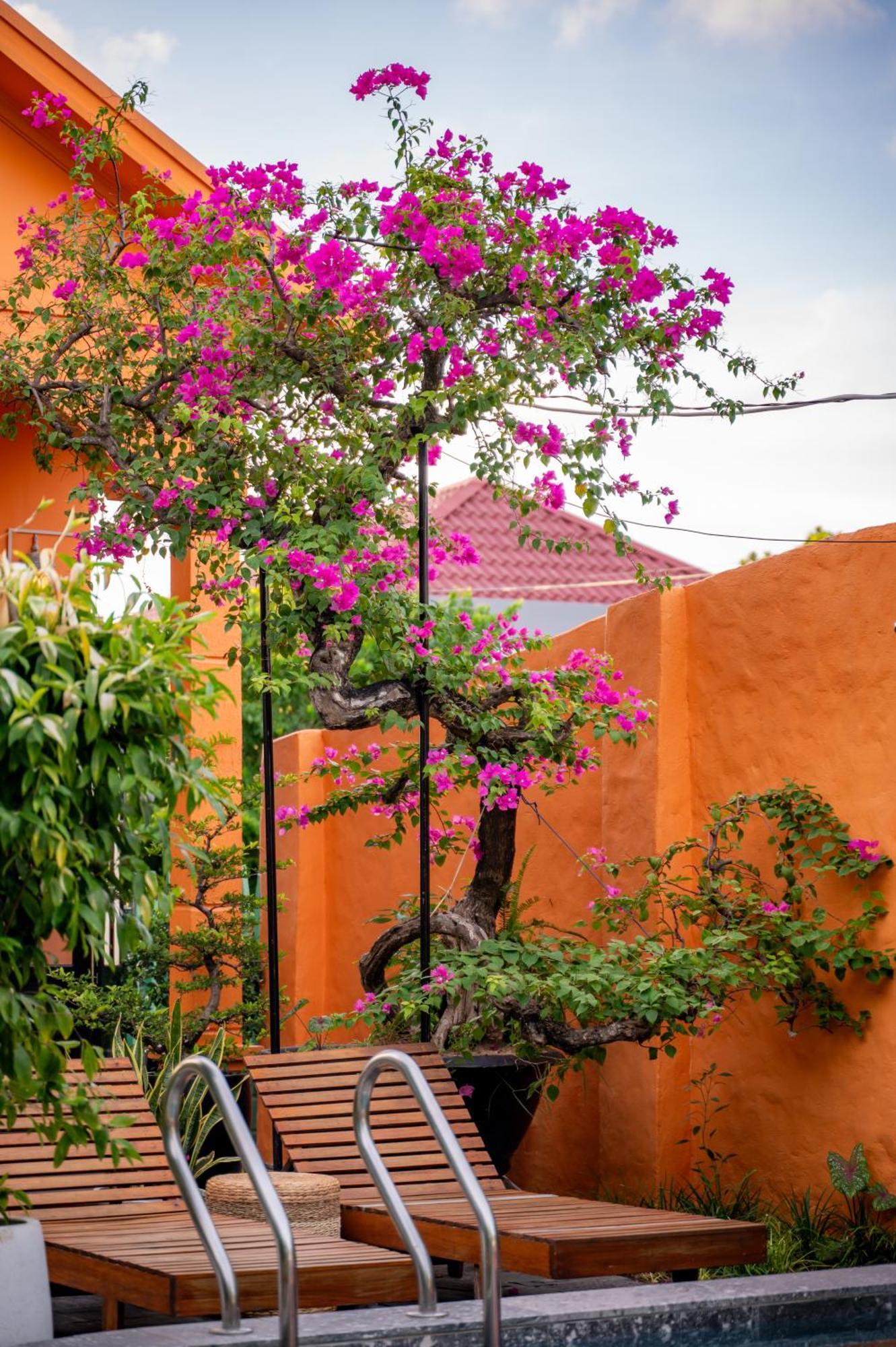 Alana Homestay Hoi An Exterior foto